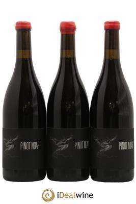 Hautes-Côtes de Nuits Pinot Noar Arnaud Lopez