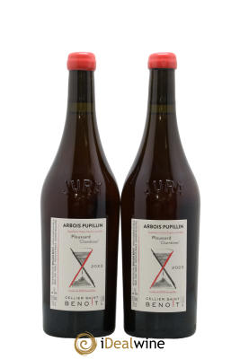 Arbois-Pupillin Ploussard Chambines Cellier Saint Benoît