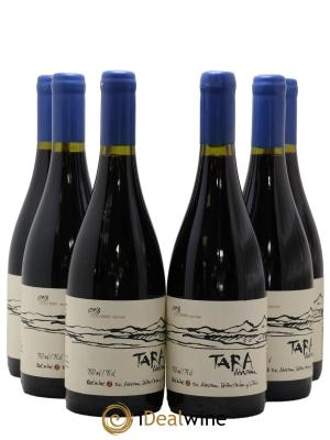 Chili Atacama Valley Syrah Ventisquero Tara