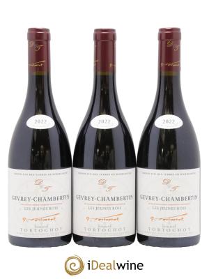 Gevrey-Chambertin Les Jeunes Rois Tortochot (Domaine)