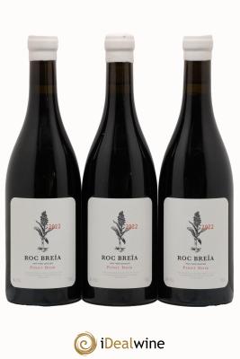 Vin de France Pinot Noir Roc Breïa (Théo Dancer)