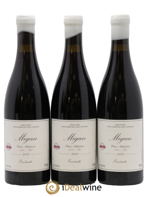 Vinos Atlanticos - Islas Canarias Migan Envinate