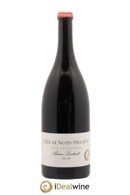 Côte de Nuits-Villages Aux Vignottes Antoine Lienhardt