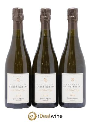 Terre du Mesnil Blanc de Blancs Grand Cru Brut André Robert