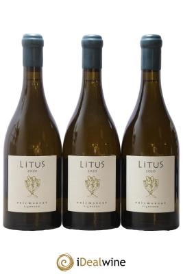 Anjou Litus Eric Morgat