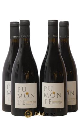 Vin de Corse Calvi Pumonte Domaine Alzipratu