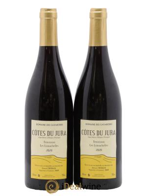 Côtes du Jura Trousseau Les Lumachelles Cavarodes (Domaine des) - Etienne Thiébaud