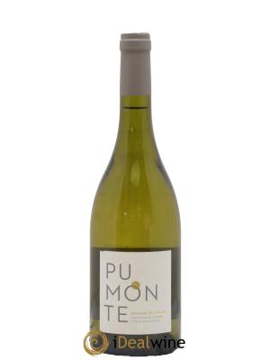 Vin de Corse Calvi Pumonte Domaine Alzipratu