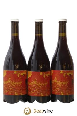 Coteaux Champenois Nico Samarensis Romain Henin