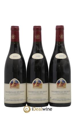 Chambolle-Musigny 1er Cru Les Feusselottes Mugneret-Gibourg (Domaine)