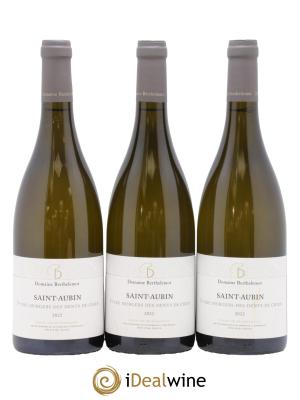 Saint-Aubin 1er Cru Murgers Des Dents De Chien Berthelemot