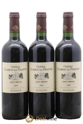 Château Cambon la Pelouse Cru Bourgeois