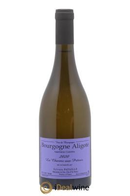 Bourgogne Aligoté La Charme aux Prêtres Sylvain Pataille (Domaine)