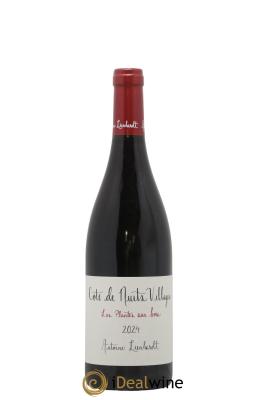 Côte de Nuits-Villages Les Plantes aux bois Antoine Lienhardt