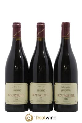 Bourgueil Petite cave Yannick Amirault (Domaine)