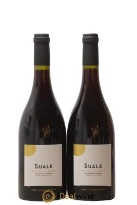 Calvi Suale Domaine Alzipratu