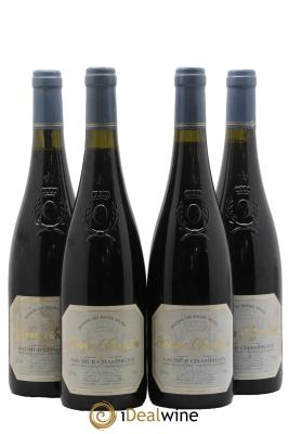 Saumur-Champigny Terres Chaudes Domaine des Roches Neuves - Thierry Germain