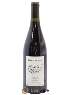 Vin de France Pinot Noir Calice (Domaine du)