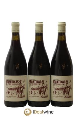 Afrique du Sud Atlantikas Maritime Bushvines Pinotage Scions of Sinai