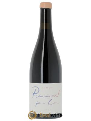 Pommard 1er Cru Domaine Aymon - Nicolas Protin
