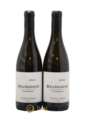Bourgogne François et Antoine Jobard (Domaine)