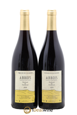 Arbois Poulsard de Chemenot Cavarodes (Domaine des) - Etienne Thiébaud