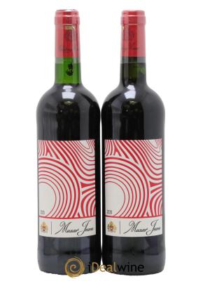 Liban Musar Jeune Famille Hochar