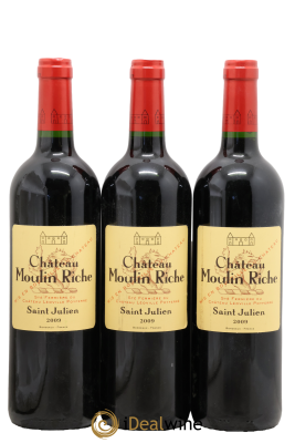 Château Moulin Riche