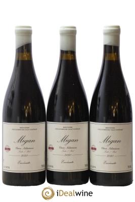 Vinos Atlanticos - Islas Canarias Migan Envinate