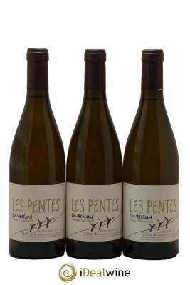 Saumur Les Pentes du Clos de l'Ecotard Domaine des Roches Neuves - Thierry Germain