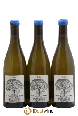Muscadet-Sèvre-et-Maine Gaia Jérôme Bretaudeau - Domaine de Bellevue