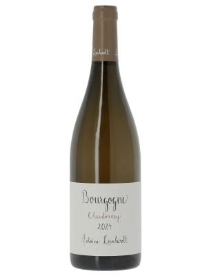 Bourgogne Antoine Lienhardt