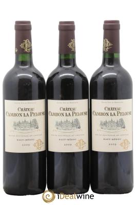 Château Cambon la Pelouse Cru Bourgeois