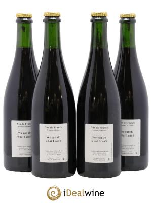 Vin de France We Can Do What I Can't Anders Frederik Steen