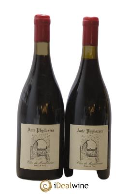 Touraine Clos de Maulevrier Ante Phylloxera Franc de Pied Marc Plouzeau