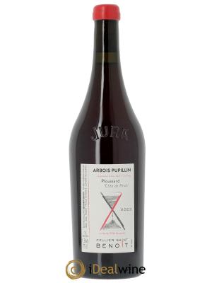 Arbois-Pupillin Ploussard Côte de Feule Cellier Saint Benoît