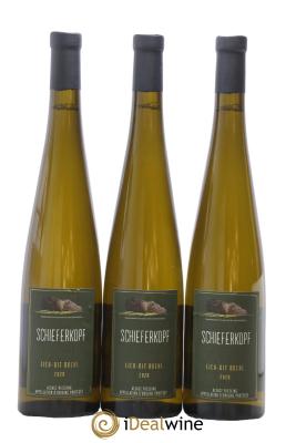 Alsace Riesling Lieu-dit Buehl Schieferkopf - Chapoutier