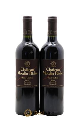 Château Moulin Riche