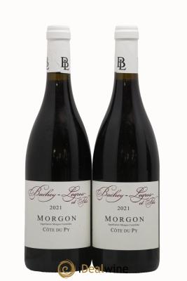 Morgon Côte du Py Domaine Bachey-Legros et fils