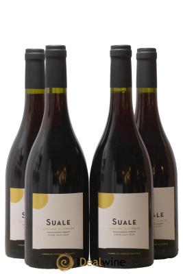 Calvi Suale Domaine Alzipratu