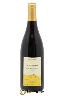 Vin de France Le Moulin Neuf Cavarodes (Domaine des) - Etienne Thiébaud