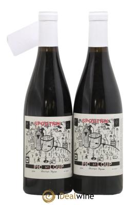 Coteaux du Languedoc Pic Saint-Loup Clos des Reboussiers Spoutnik