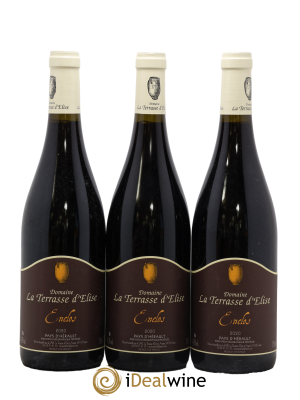 Pays d'Hérault L'Enclos Terrasse d'Elise (Domaine de la)