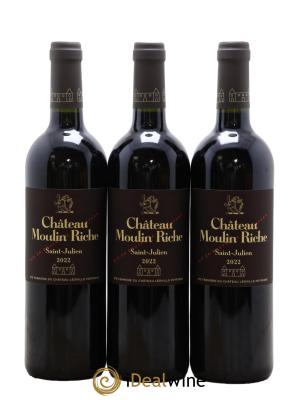 Château Moulin Riche