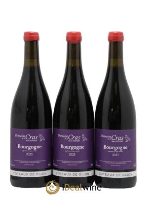 Bourgogne Domaine de la Cras - Marc Soyard