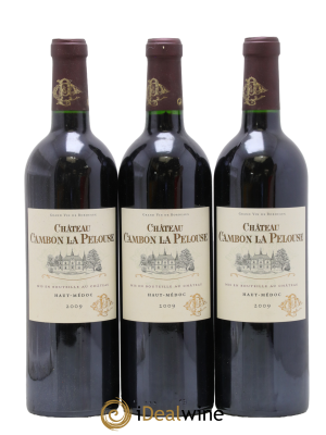 Château Cambon la Pelouse Cru Bourgeois