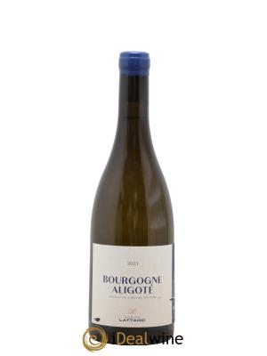 Bourgogne Aligoté Adrien Lattard