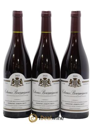 Coteaux Bourguignons Joseph Roty (Domaine)