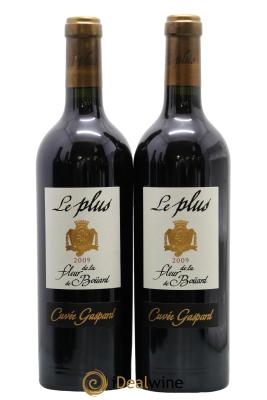 Lalande-de-Pomerol Cuvée Gaspard Le Plus de La Fleur de Boüard