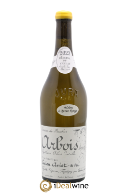 Arbois Melon à Queue Rouge Cuvée des Docteurs Lucien Aviet (Domaine)